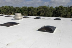 Commercial Single Ply w/ new Skylights
