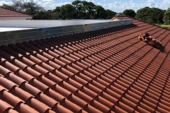 Commercial_Tile & Coping